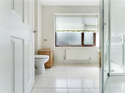 Picture 33